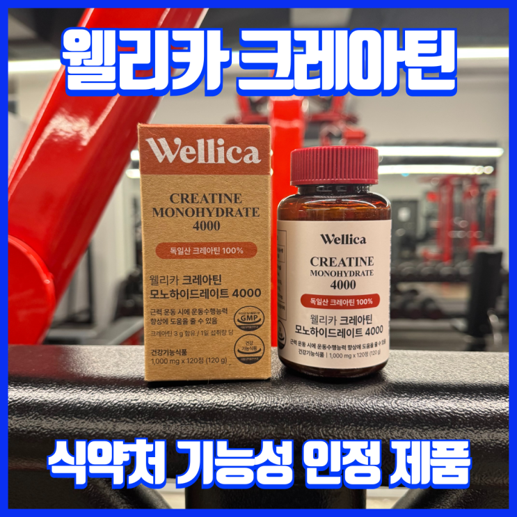  안전한 운동전부스터 독일산 크레아틴 효과 100% 모노하이드레이트