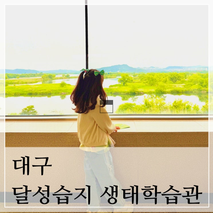  대구 아이랑 실내 가볼만한 곳 달성습지생태학습관 체험