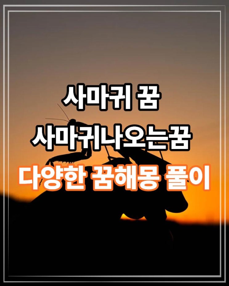  사마귀 꿈 사마귀나오는꿈 다양한 꿈해몽 풀이