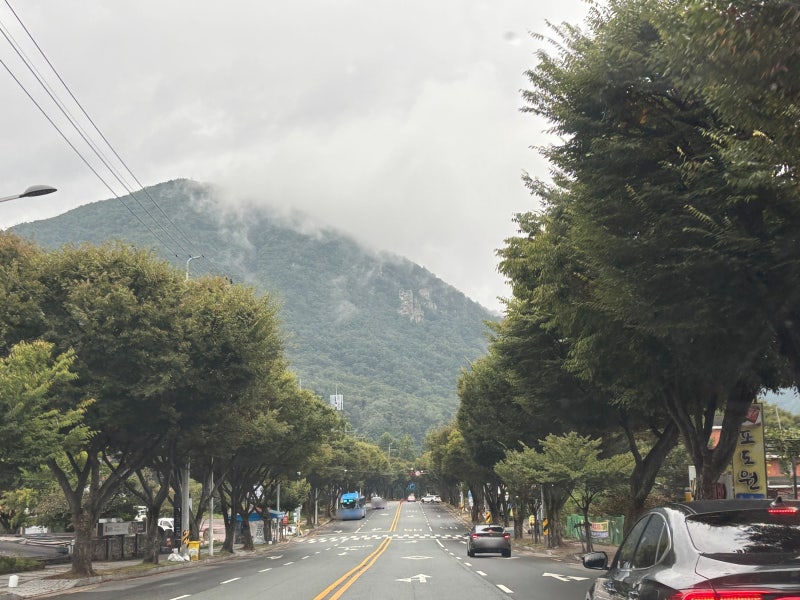 [대구] 팔공산 가볼만한곳 '팔공산온천관광호텔' 노천탕 사우나 온천욕 후기