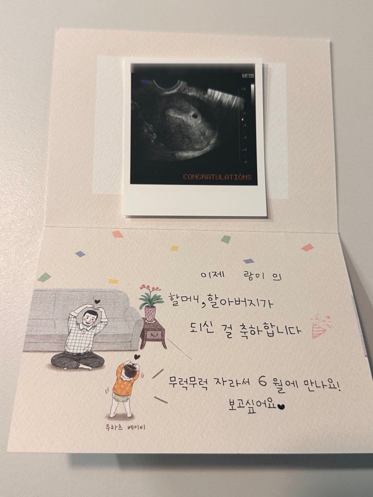  시험관 동결배아이식 1차 피검, 2차 피검, 아기집 난황 확인 착상성공 임밍아웃까지