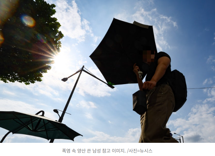  도쿄 남성 절반이 양산 쓴다?!️ “이젠 생존템이 됐어요” 기록적 폭염이 만든 일본의 변화