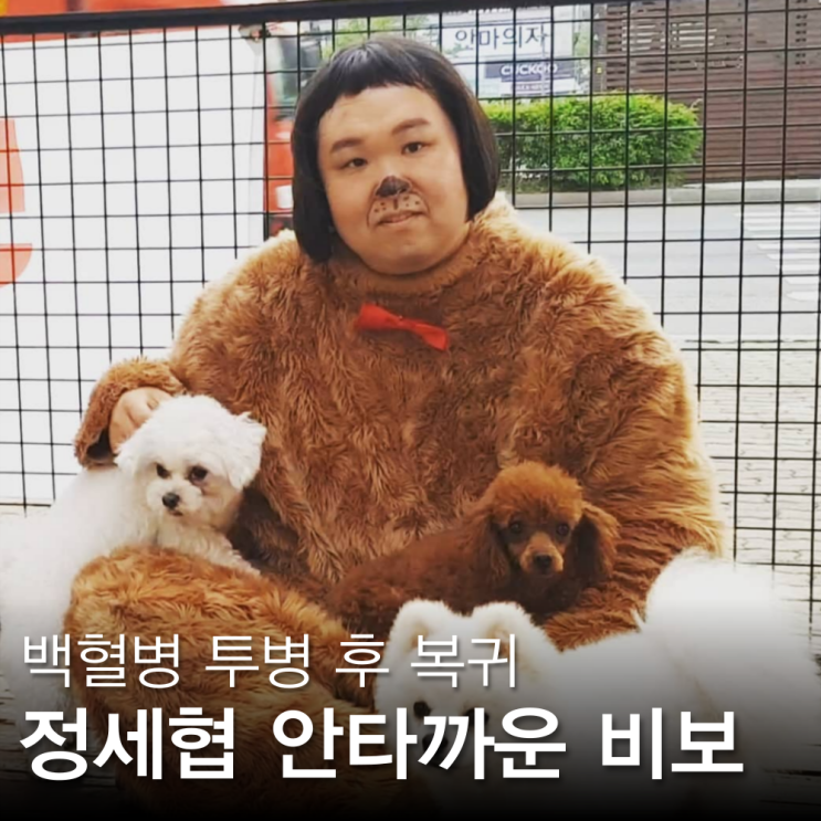 <b>정세협 사망</b> 비보 프로필, 5일 개콘이 마지막 방송이었다니
