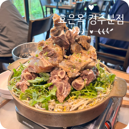 사진 5