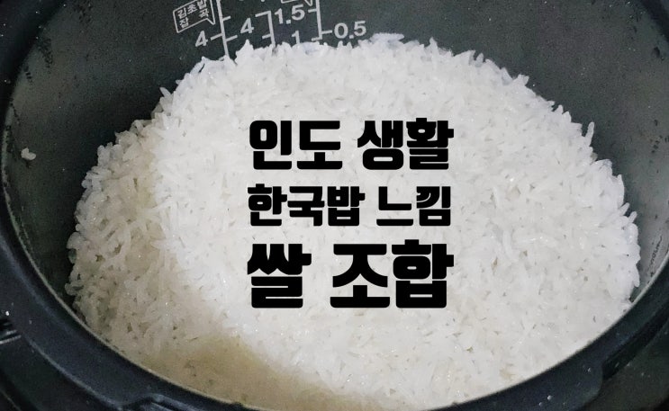  인도생활 GRM 쌀 TANIFUJI 쌀 조합으로 한국 밥맛 완성