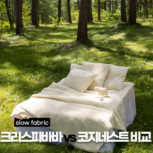  크리스피바바 양모이불 코지네스트와 비교 실구매 후기