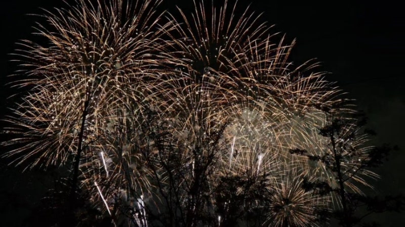 2025 여의도 세계불꽃축제 - 이촌 한강공원 후기