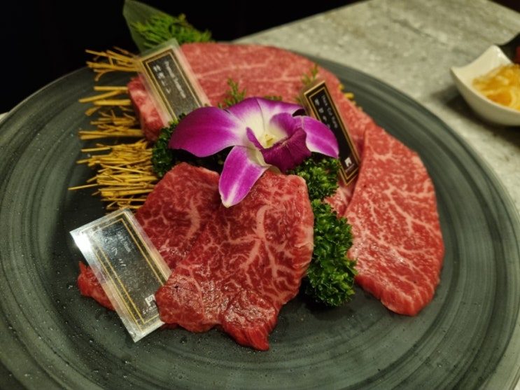  일본 도쿄타워 맛집 추천 야키니쿠 폰가 프리미엄 롯본기점 도쿄타워뷰가 있는 곳