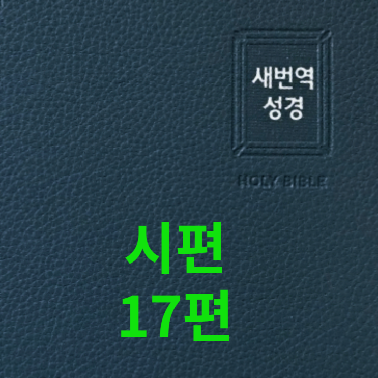  시편 17편