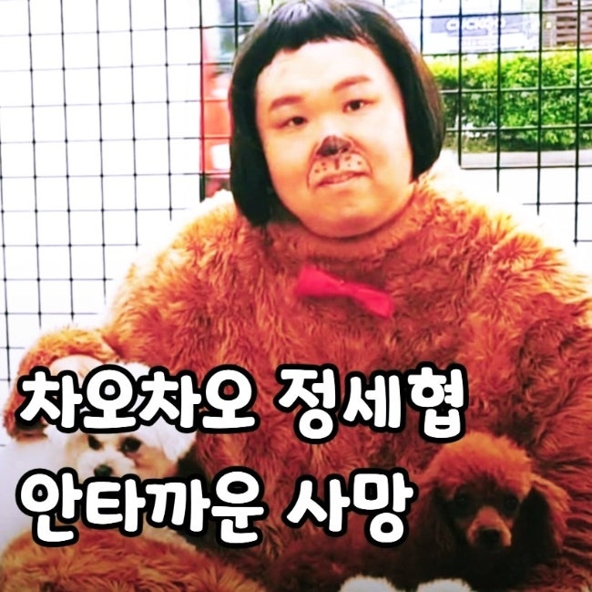 <b>정세협</b> 개그맨 <b>사망</b> ft. 프로필