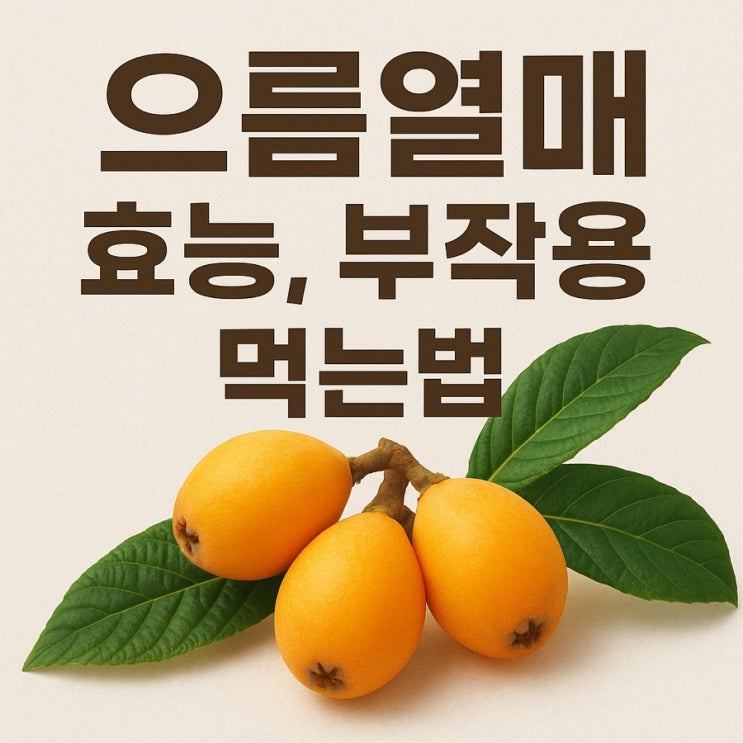  으름열매 효능, 부작용, 먹는법 총정리  자연이 준 달콤한 약초 으름 완벽 가이드!