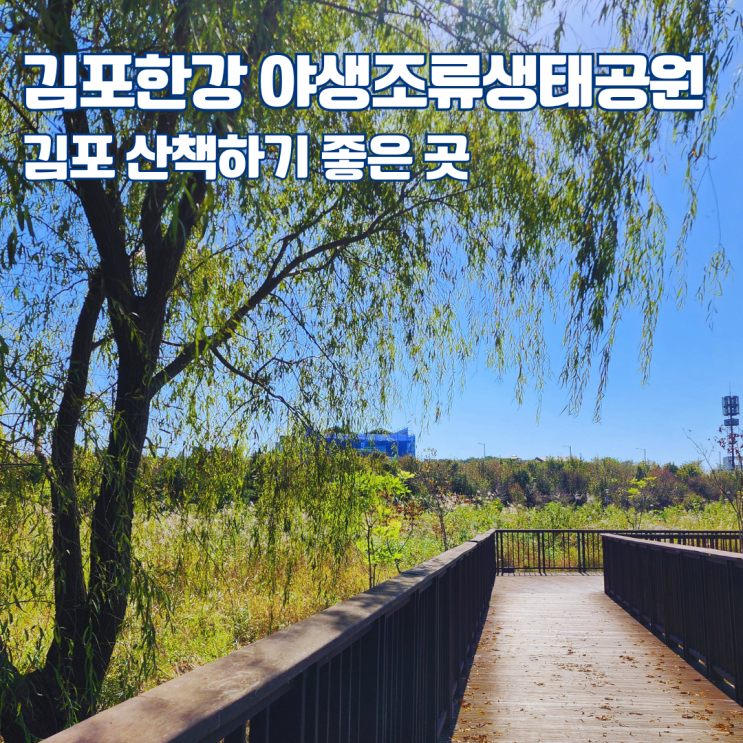  김포 한강 야생조류 생태공원 가는 길 주차장 서울 근교 산책 가볼만한 곳