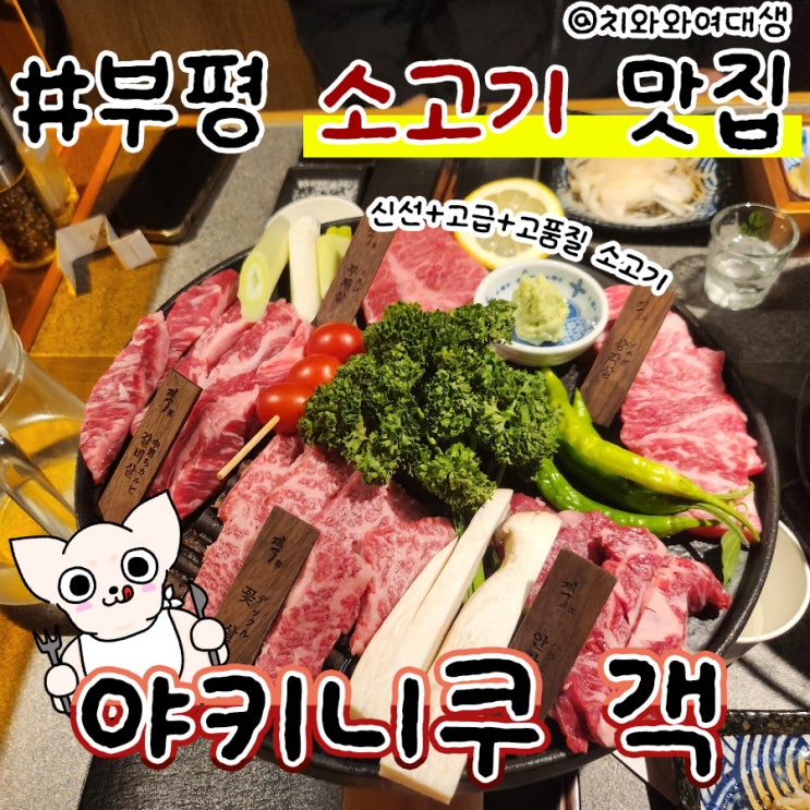  부평동 맛집 소고기 야키니쿠 객 남포동 숯불고기집