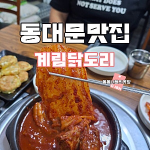 동대문 맛집 추천 계림삼계탕 가성비 맛집 종로 실내포차 노포 맛집