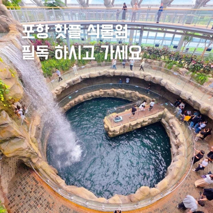 포항 <b>환호공원 식물원</b> 실내 가볼만한곳 볼거리 주차장