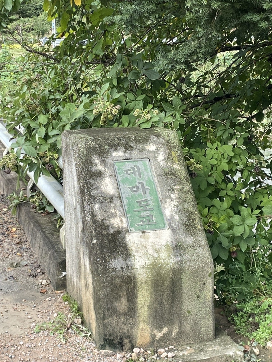 Dolgoraesongeojang photo 4