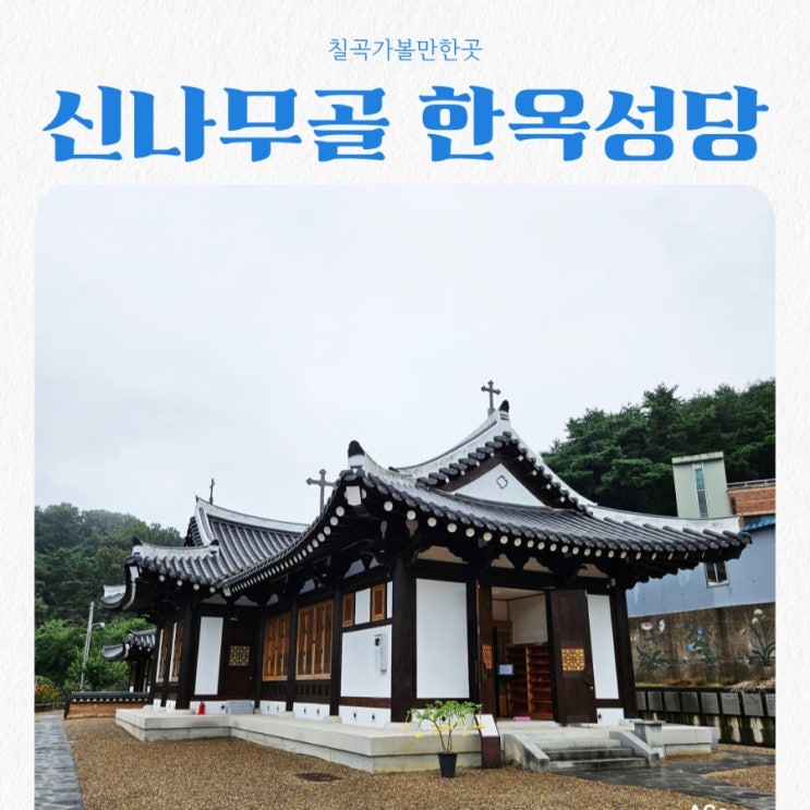  칠곡가볼만한곳 신나무골성지 feat 한옥성당 뷰맛집