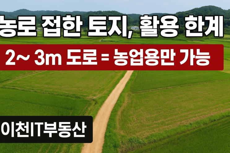  농로(2미터도로) 접도 토지 투자, 왜 위험할까? 투자가치 제로?[이천IT부동산]