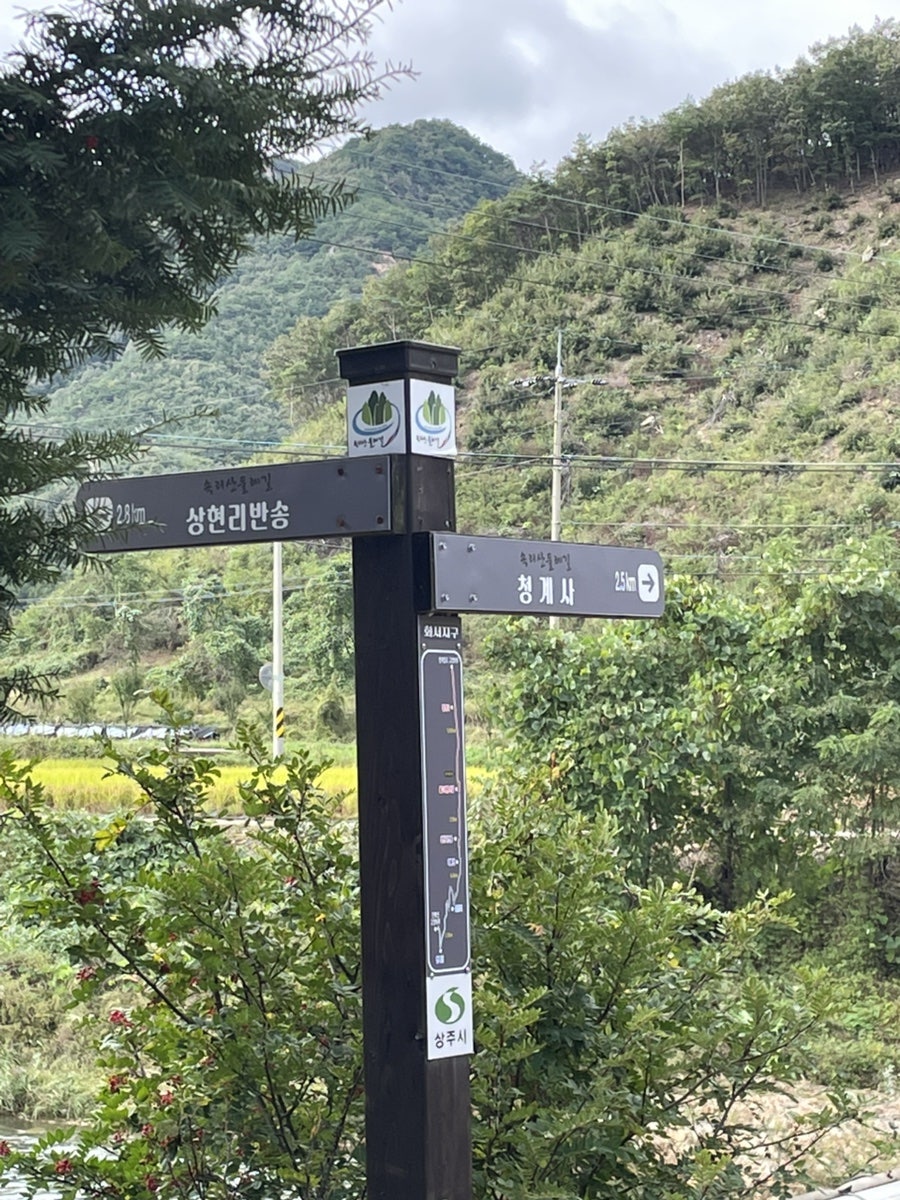 Dolgoraesongeojang photo 3