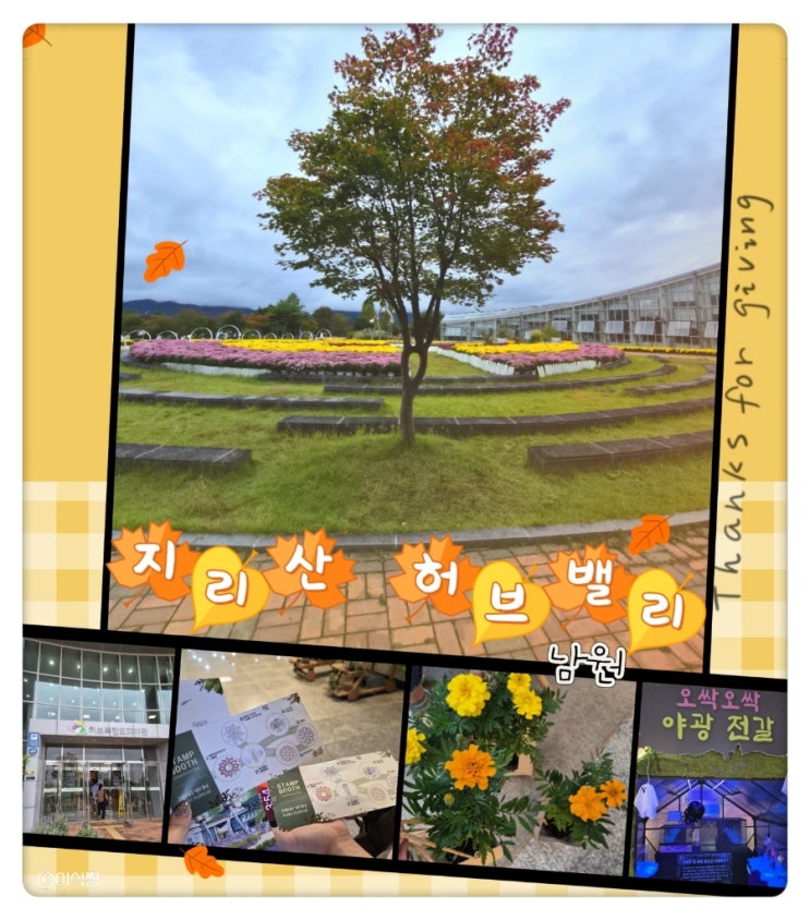  [ 전북 남원 ] 넓은 정원과 꽃을 볼 수 있는 _ 지리산 허브밸리 (feat. 무료입장 방법)