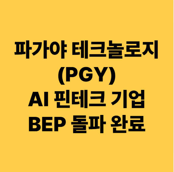  파가야 테크놀로지(PGY) AI 핀테크의 숨은 보석일까?