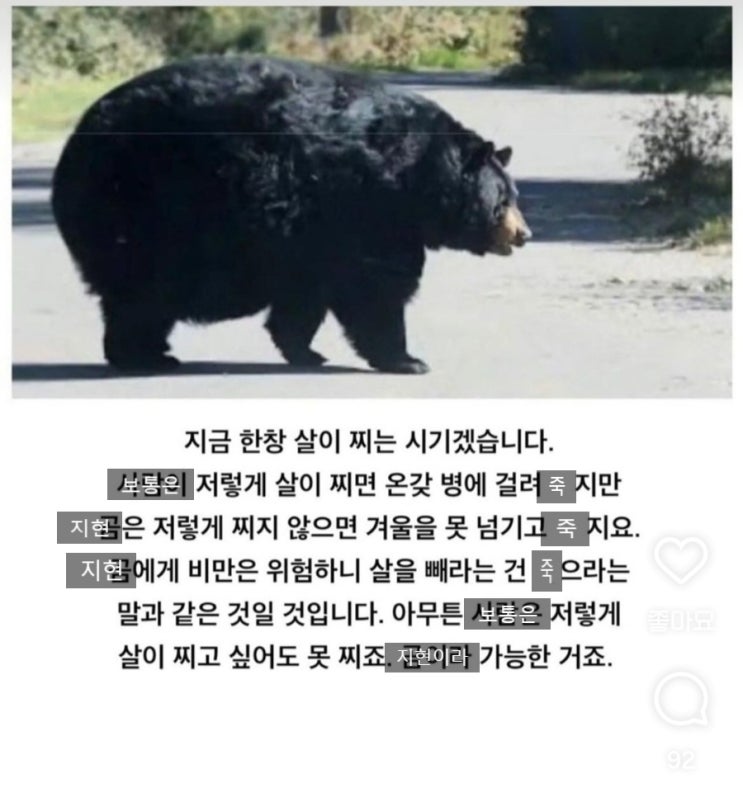  가을. 추석. 지금 한창 살이 찌는 시기겠습니다.