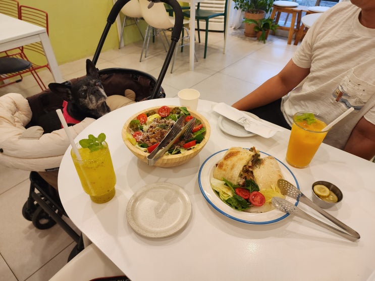 진해 브런치카페 애견동반 가능한 데이트코스 맛집 맘마미아17