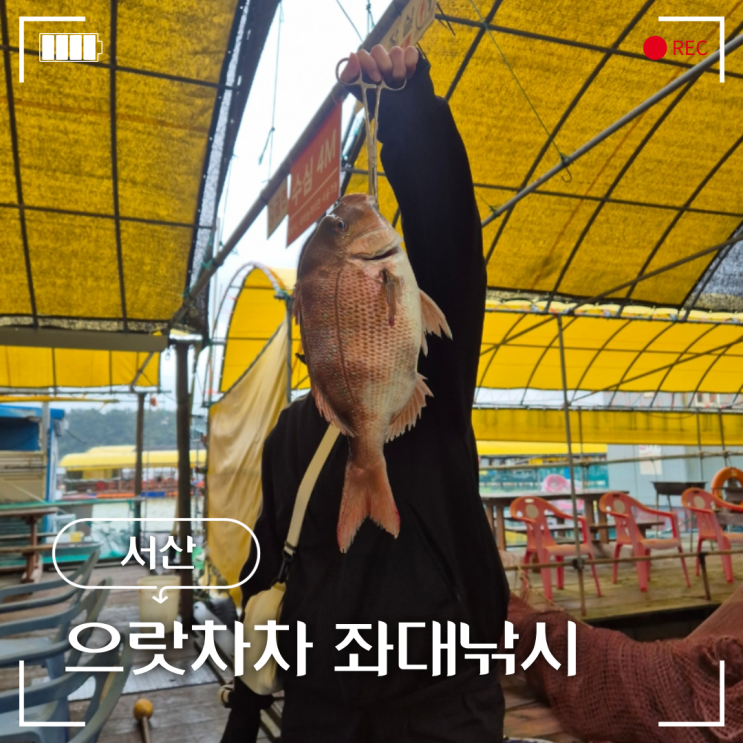  서산 으랏차차 좌대낚시 초보자도 즐기기 좋은곳