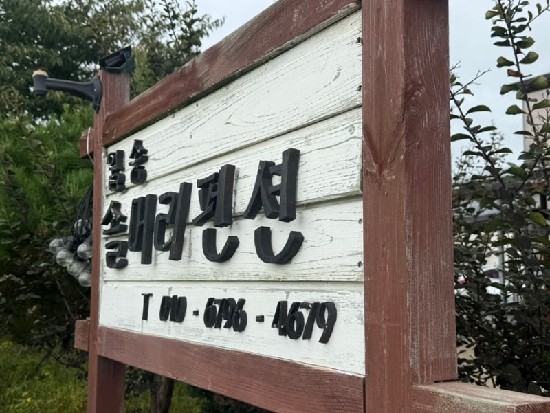 사진 4