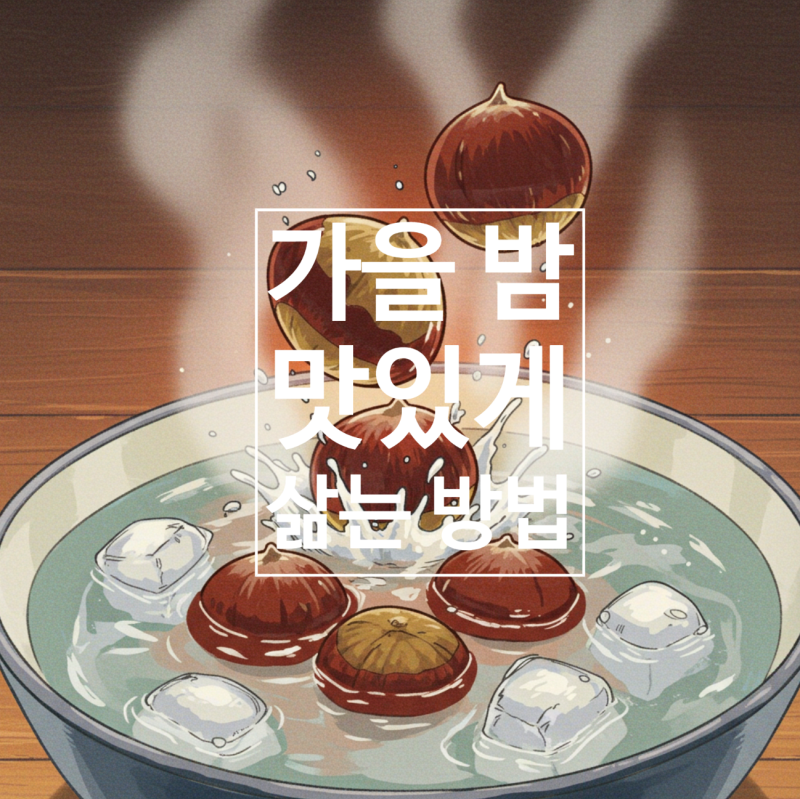 밤 맛있게 삶는법! 껍질 쉽게 잘 까지는 밤 삶는 방법 시간별 3가지 비법 (10월 제철 밤 활용)