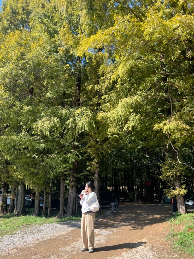  강화도 카페 추천 메타포레스트 대형카페 주차 메타숲 후기