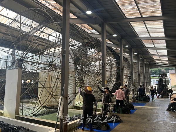  전남도, ‘케이(K)-김’ 세계화 속도…2026년산 물김 생산 지원 총력