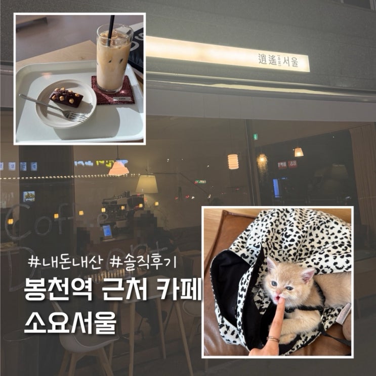  봉천 신림 반려동물동반 가능한 감성 카페 소요서울 내돈내산 솔직후기