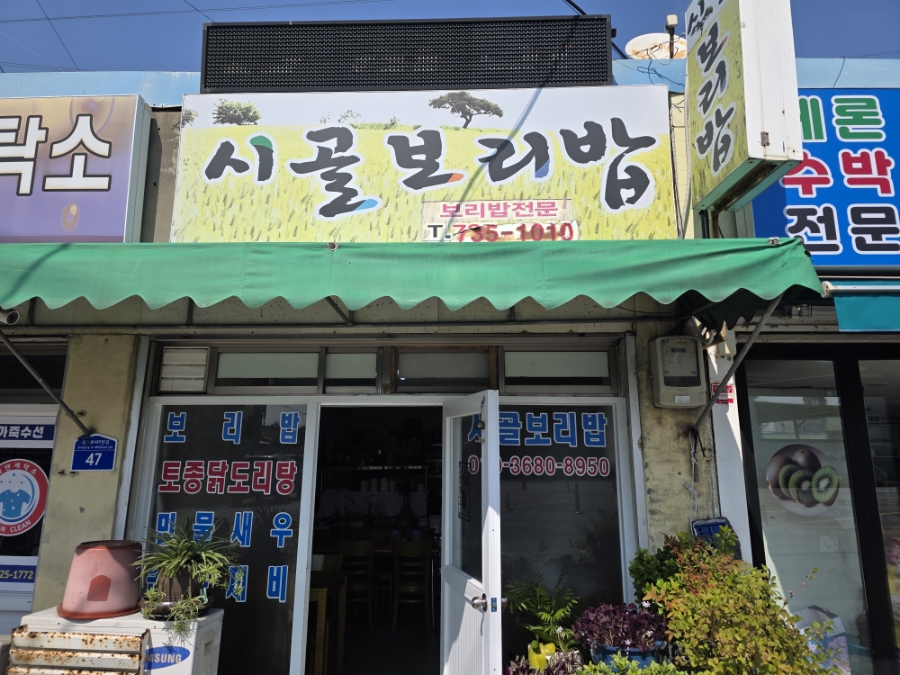 시골보리밥 사진 1