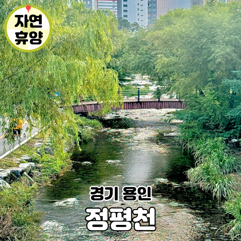 용인 산책하기 좋은곳 수지 정평천 신정공원 걷기 주차장