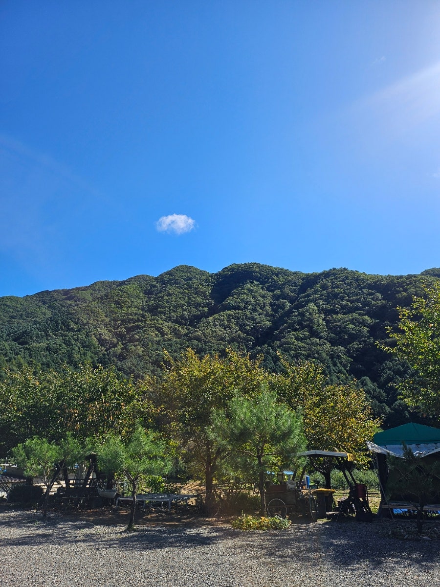 외가집민박 사진 1