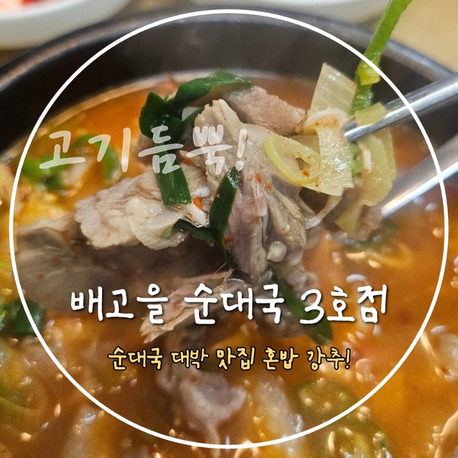 배고을산골순대국 사진 1