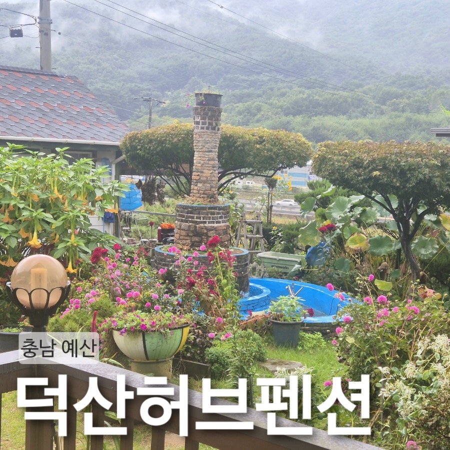덕산허브펜션 사진 1
