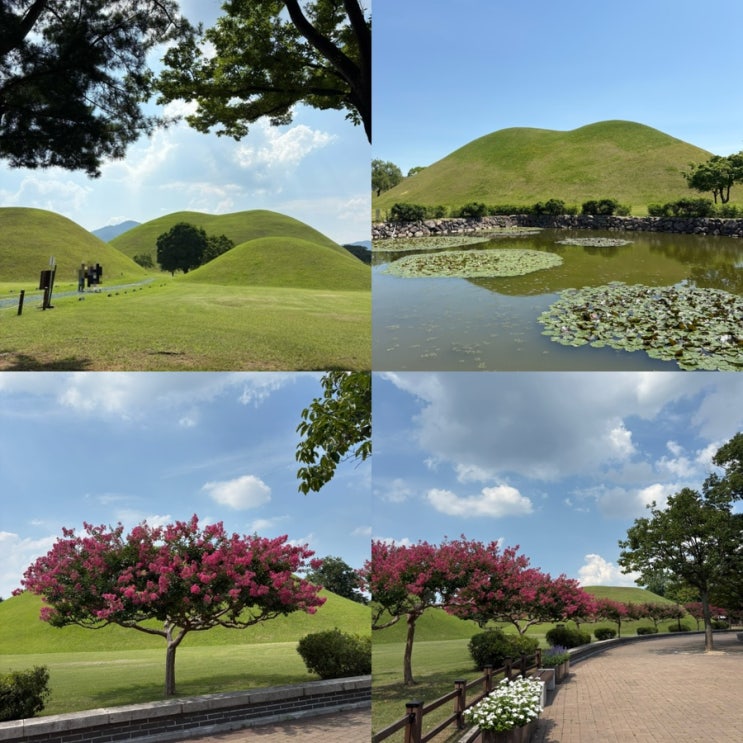  경주 대릉원 여행코스 추천｜입장료·위치·관람시간까지 경주가볼만한곳 총정리