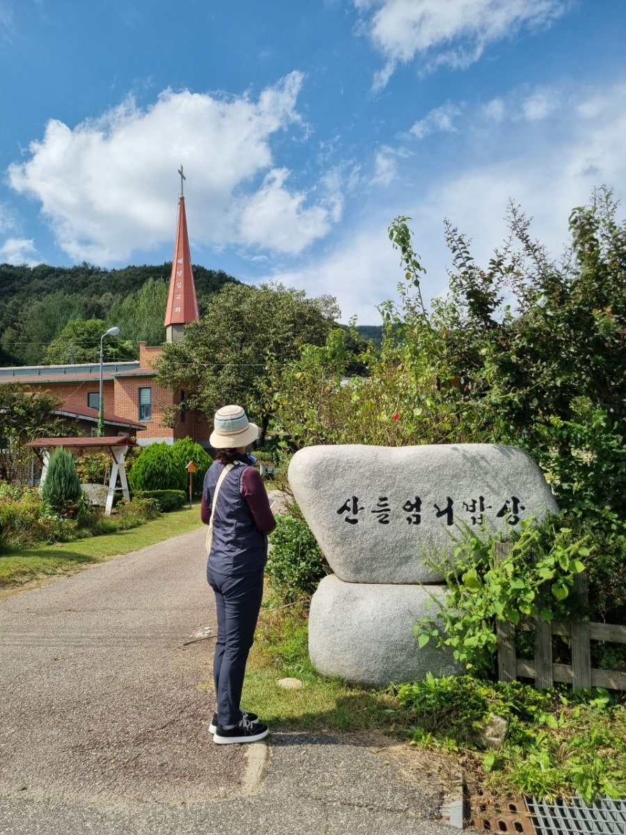 장자골 사진 6