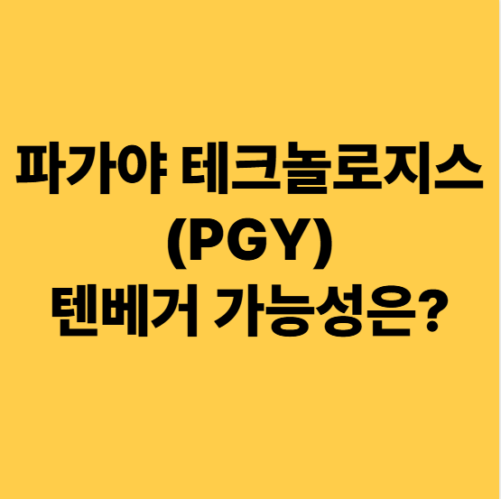  파가야 테크놀로지스(PGY) 미국주식 텐베거 가능성?