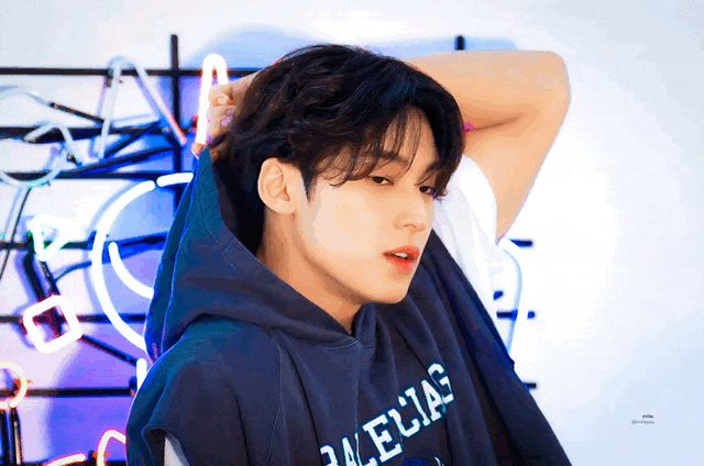 웅냥이의 세븐틴 빙의글 추천_4