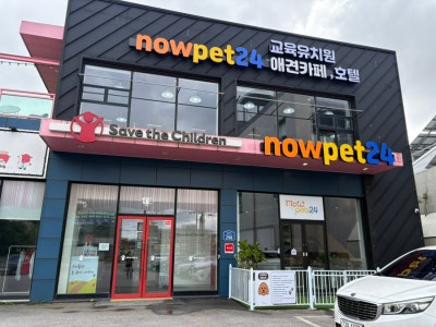 사진 3
