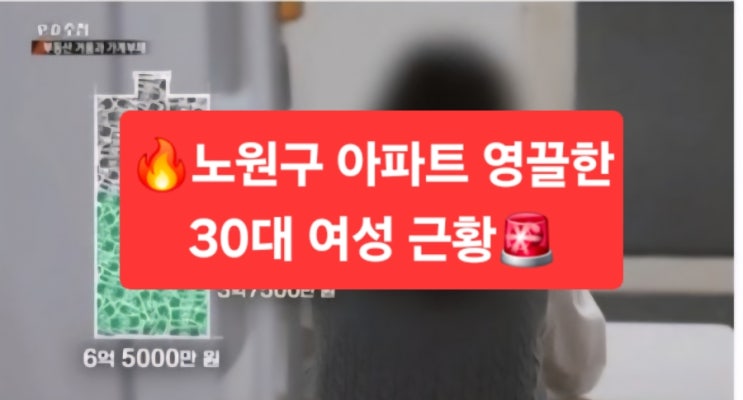  노원구 아파트 영끌한 30대  여성