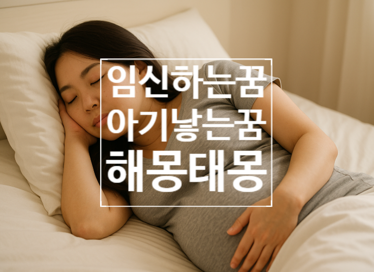 임신하는꿈 해몽 내가 지인이 친구가 엄마가 쌍둥이 아기 낳는 꿈 태몽