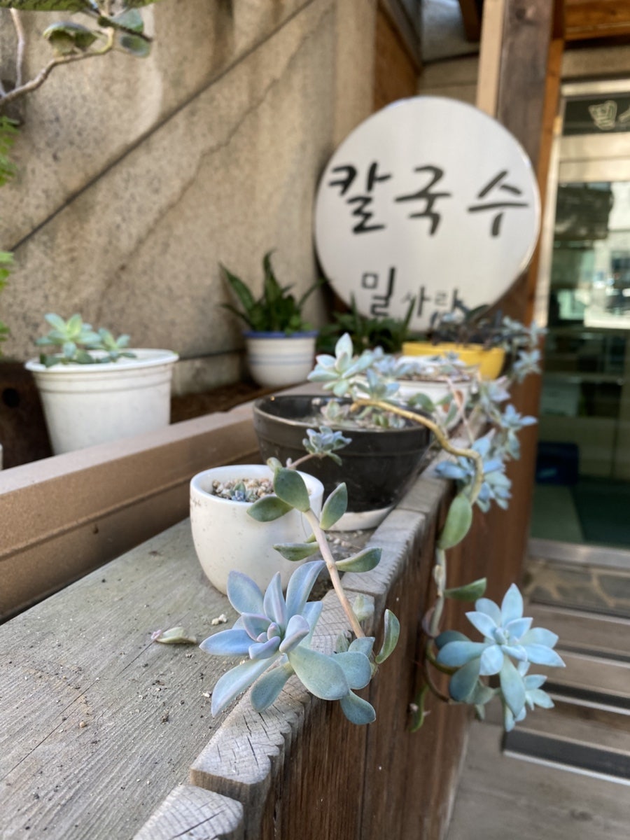 밀사랑칼국수 사진 2