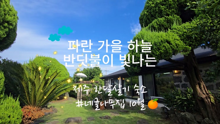  가족과 함께하는 제주 한달살기 2주/3주 숙소 10월