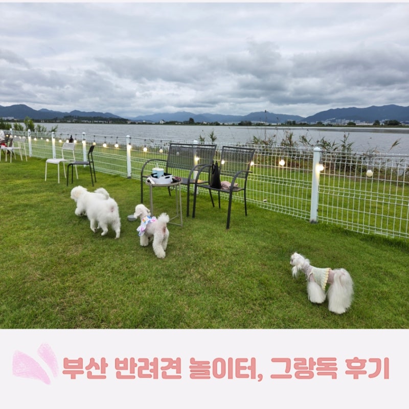 사진 4
