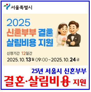  서울시 신혼부부 결혼‧살림비용 지원금 (ft. 시범사업) : 100만원, 대상, 신청기간, 항목, 혼인신고일, 준비, 장려금, 중위소득120, 경기도