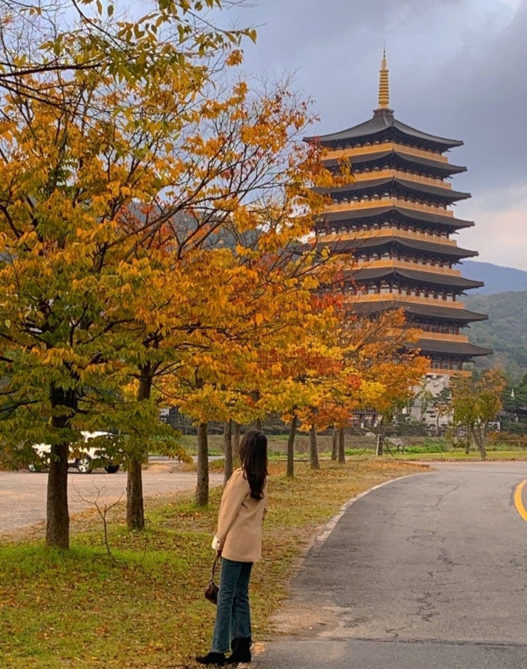  경주 황룡원 뷰 포토스팟 경주 사진찍기 좋은곳 추천